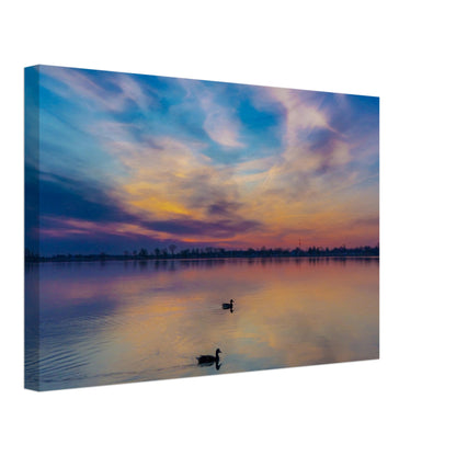 02050a14-5552-45f6-98b3-c3395295541d