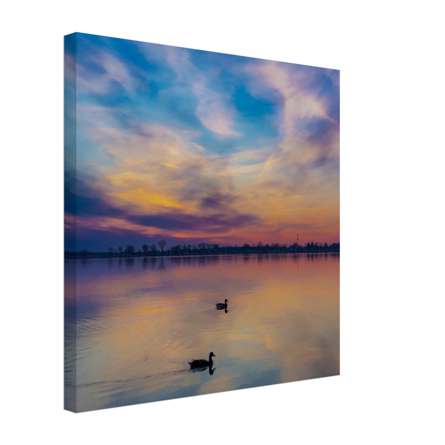 1177ba9c-baad-43b4-8d41-becbf37b8977