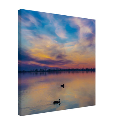 1177ba9c-baad-43b4-8d41-becbf37b8977