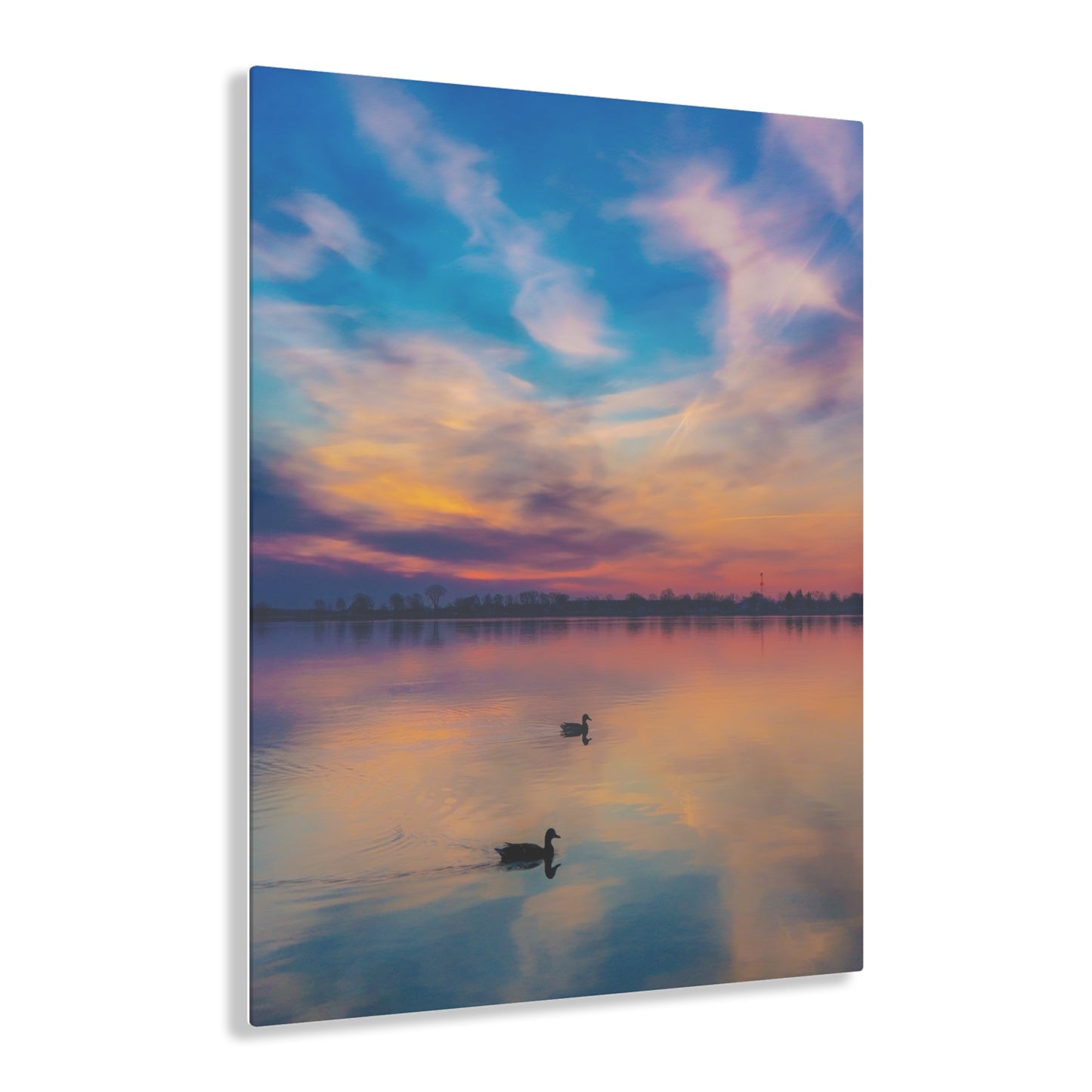 Tranquil Dawn: Mallard Ducks Grace the St. Clair River