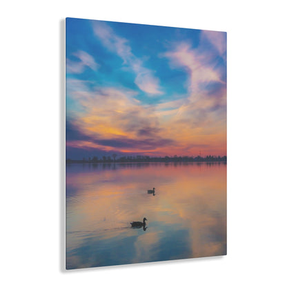 Tranquil Dawn: Mallard Ducks Grace the St. Clair River