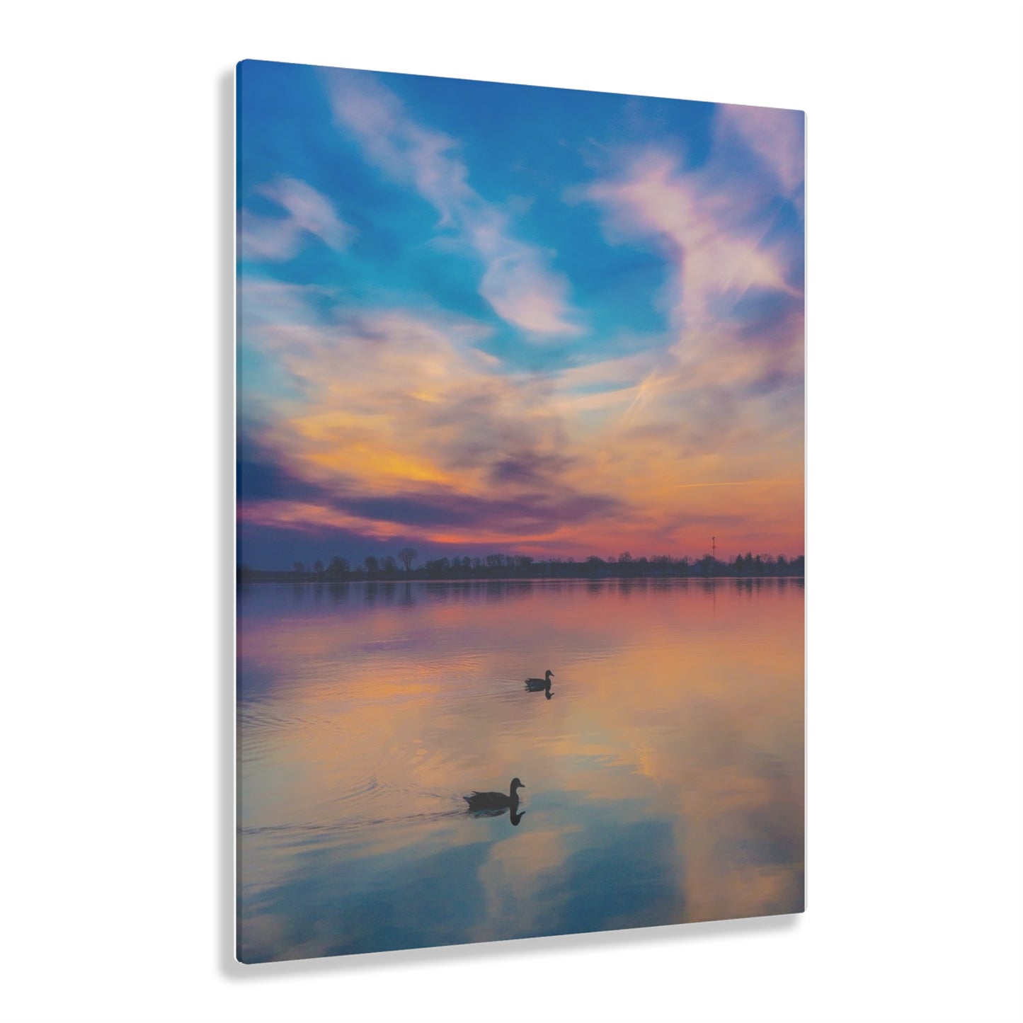 Tranquil Dawn: Mallard Ducks Grace the St. Clair River