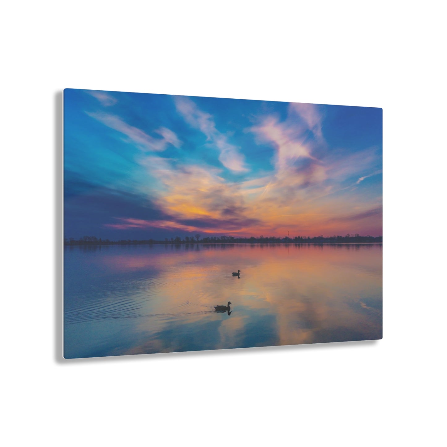 Tranquil Dawn: Mallard Ducks Grace the St. Clair River