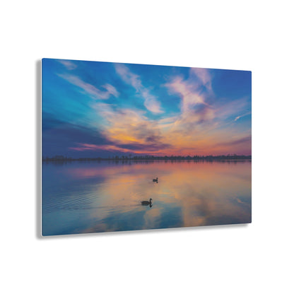 Tranquil Dawn: Mallard Ducks Grace the St. Clair River