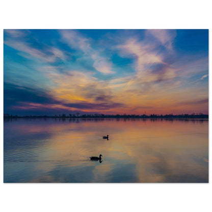 17d43096-4eb6-4bd6-85ef-783519a1e069