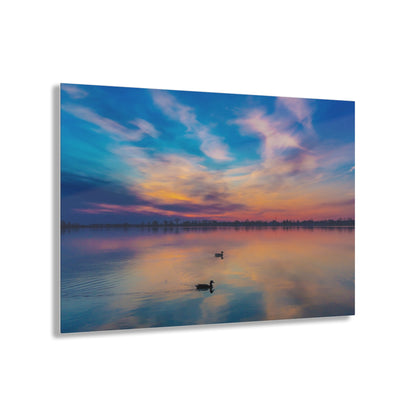 Tranquil Dawn: Mallard Ducks Grace the St. Clair River