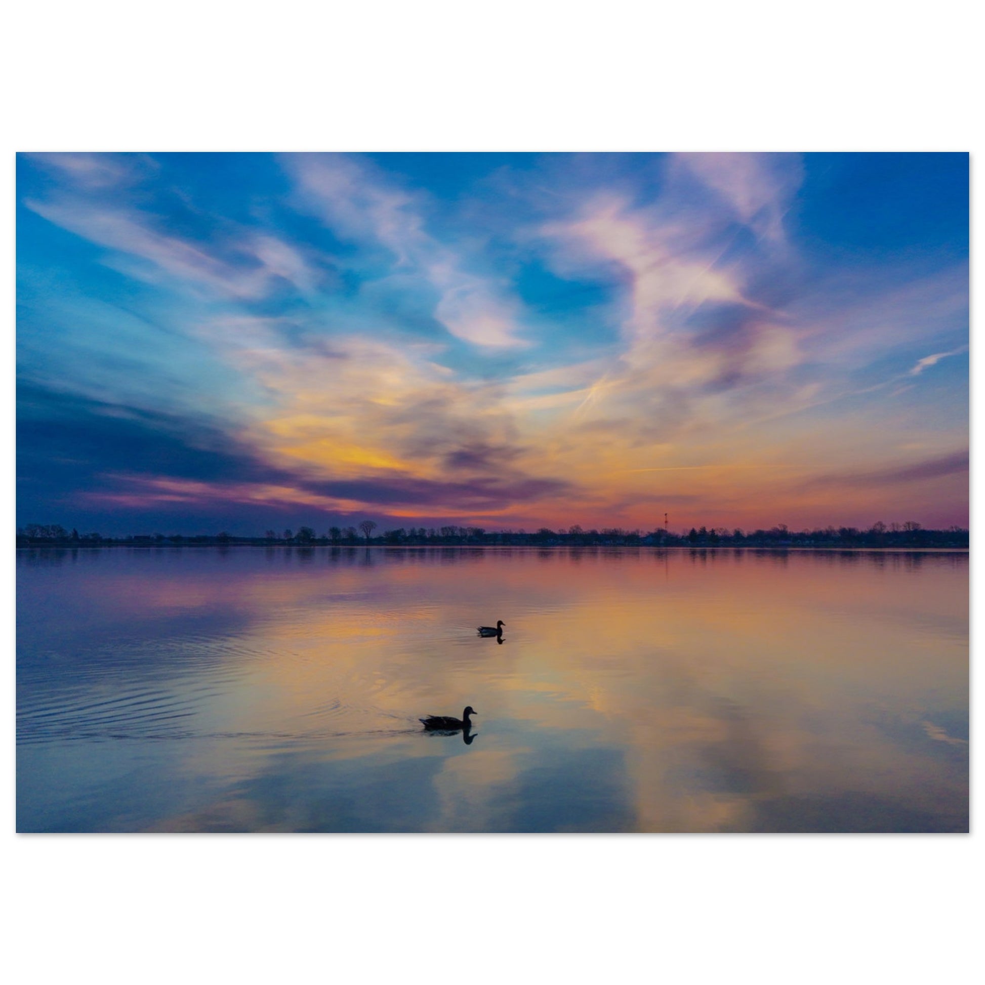 2d8b8832-c5e0-4b8d-b353-eaada1e45e9f