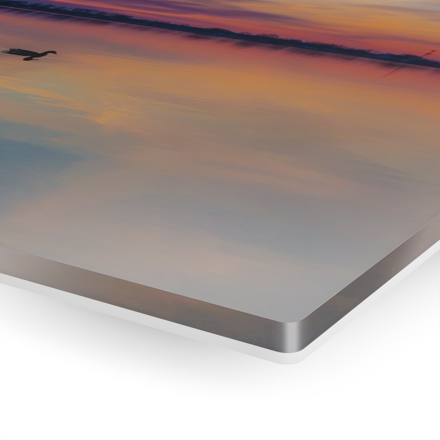 Tranquil Dawn: Mallard Ducks Grace the St. Clair River