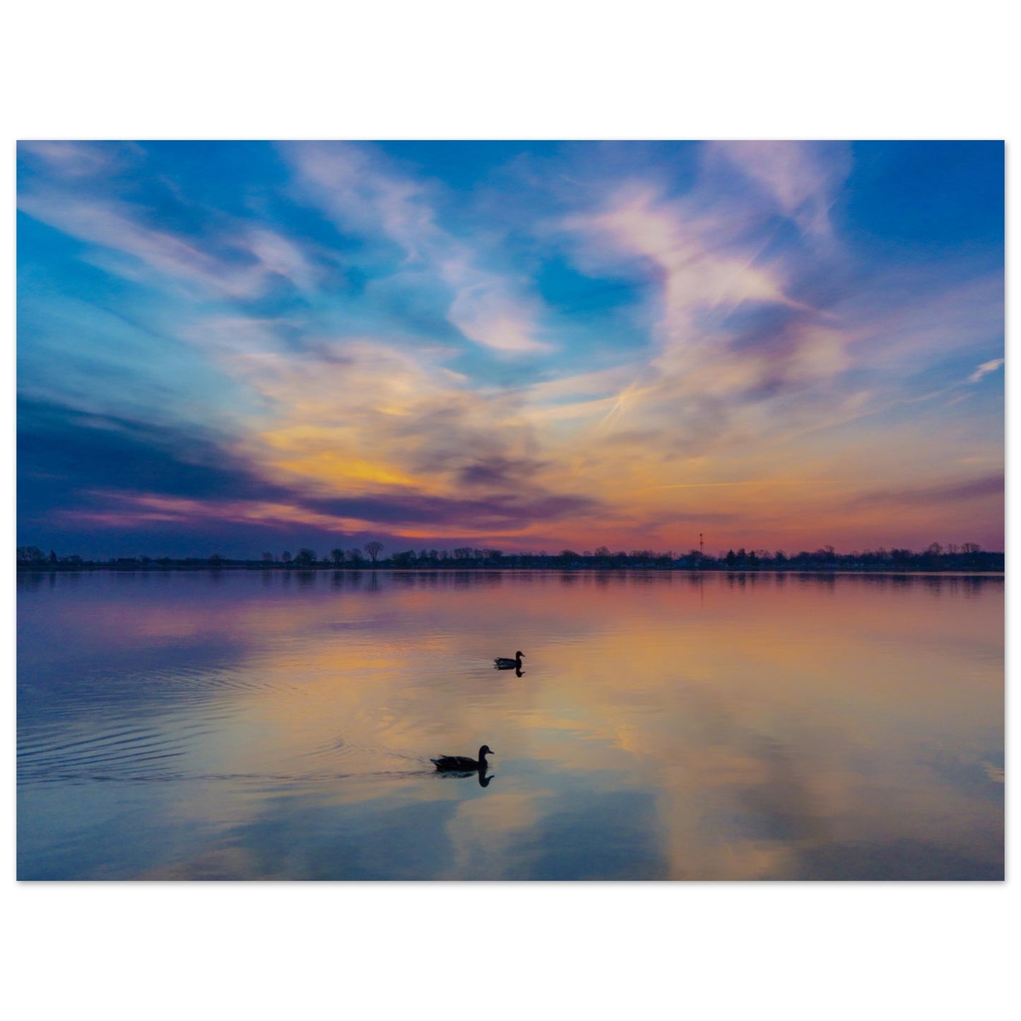 3900d8b0-928b-4133-9d50-352f251e76ac