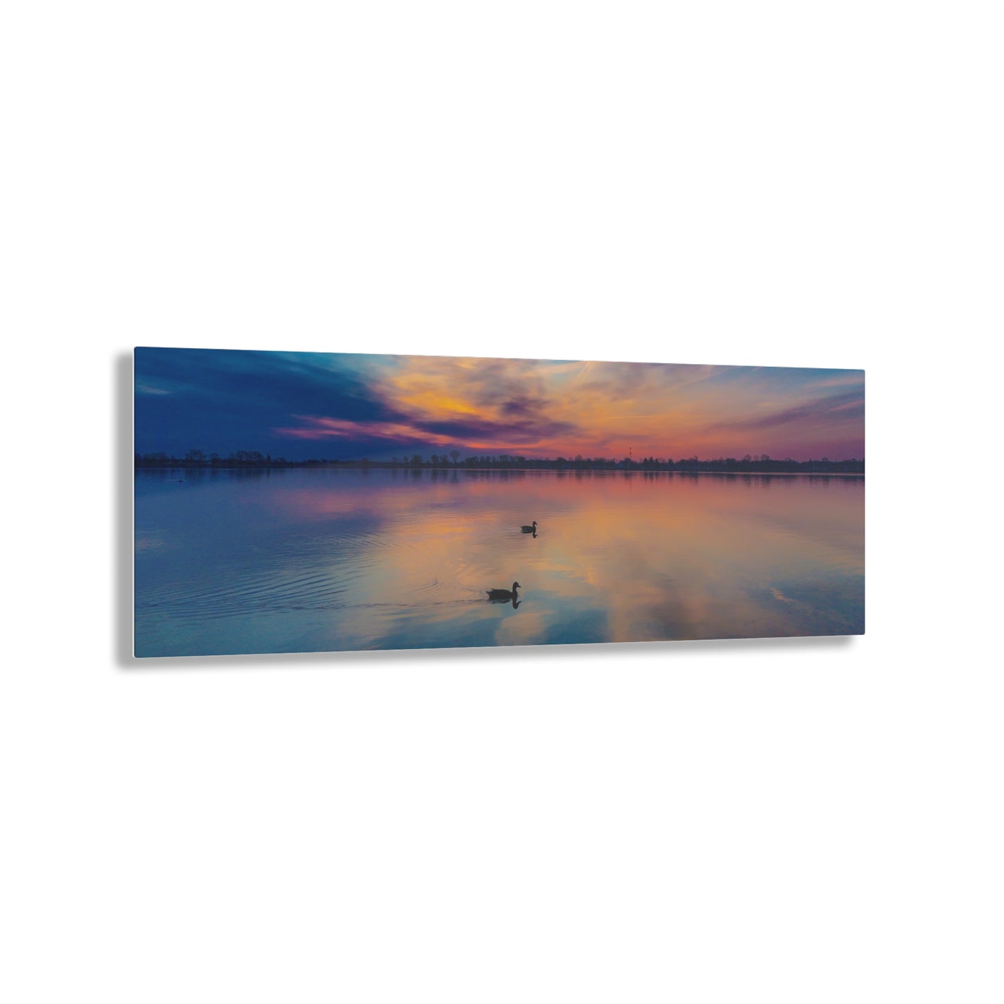 Tranquil Dawn: Mallard Ducks Grace the St. Clair River