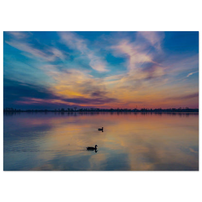 4ba728d6-5d0a-4959-b815-87edc3c15550