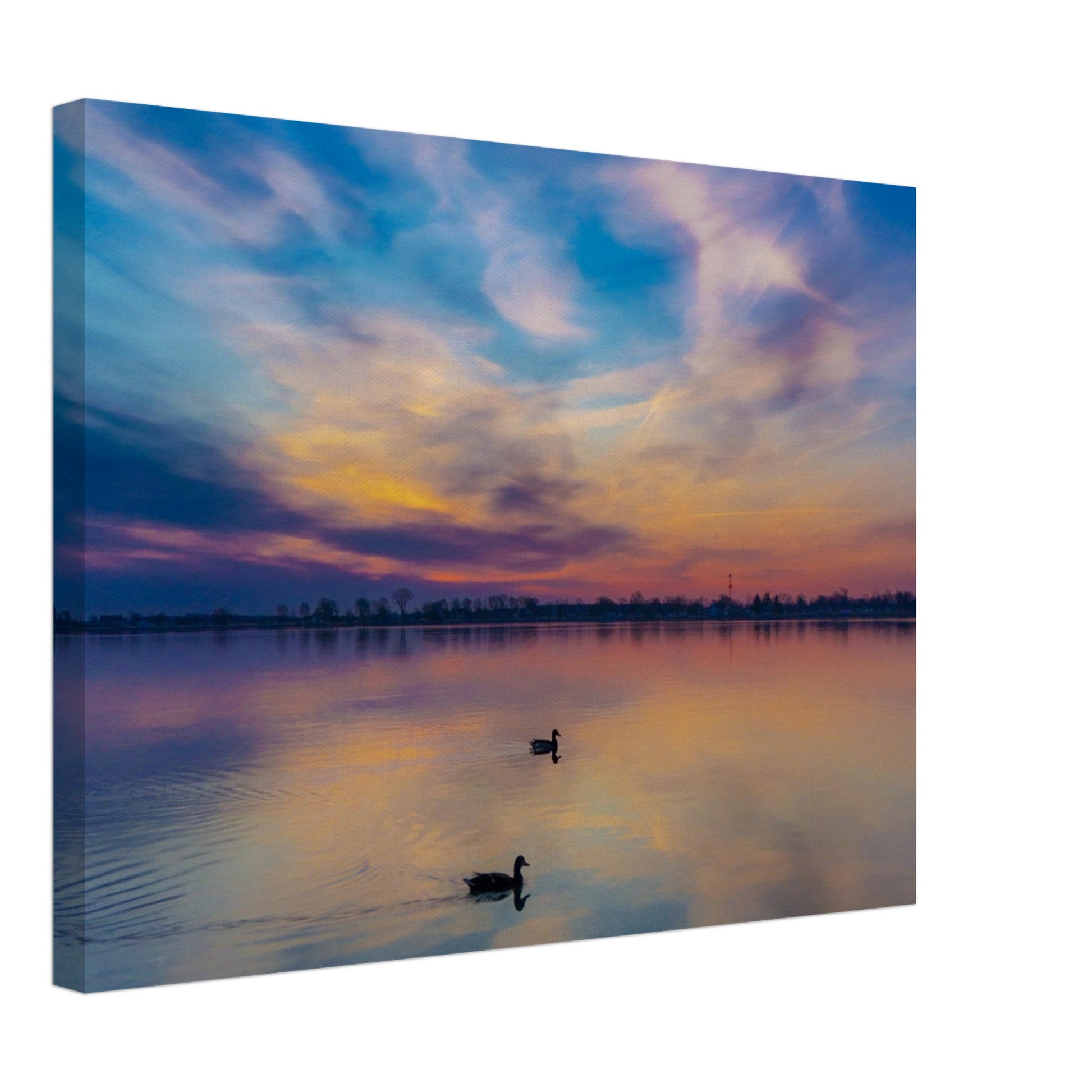 79e9f8d6-fa51-4e9d-93e8-99092d87568d