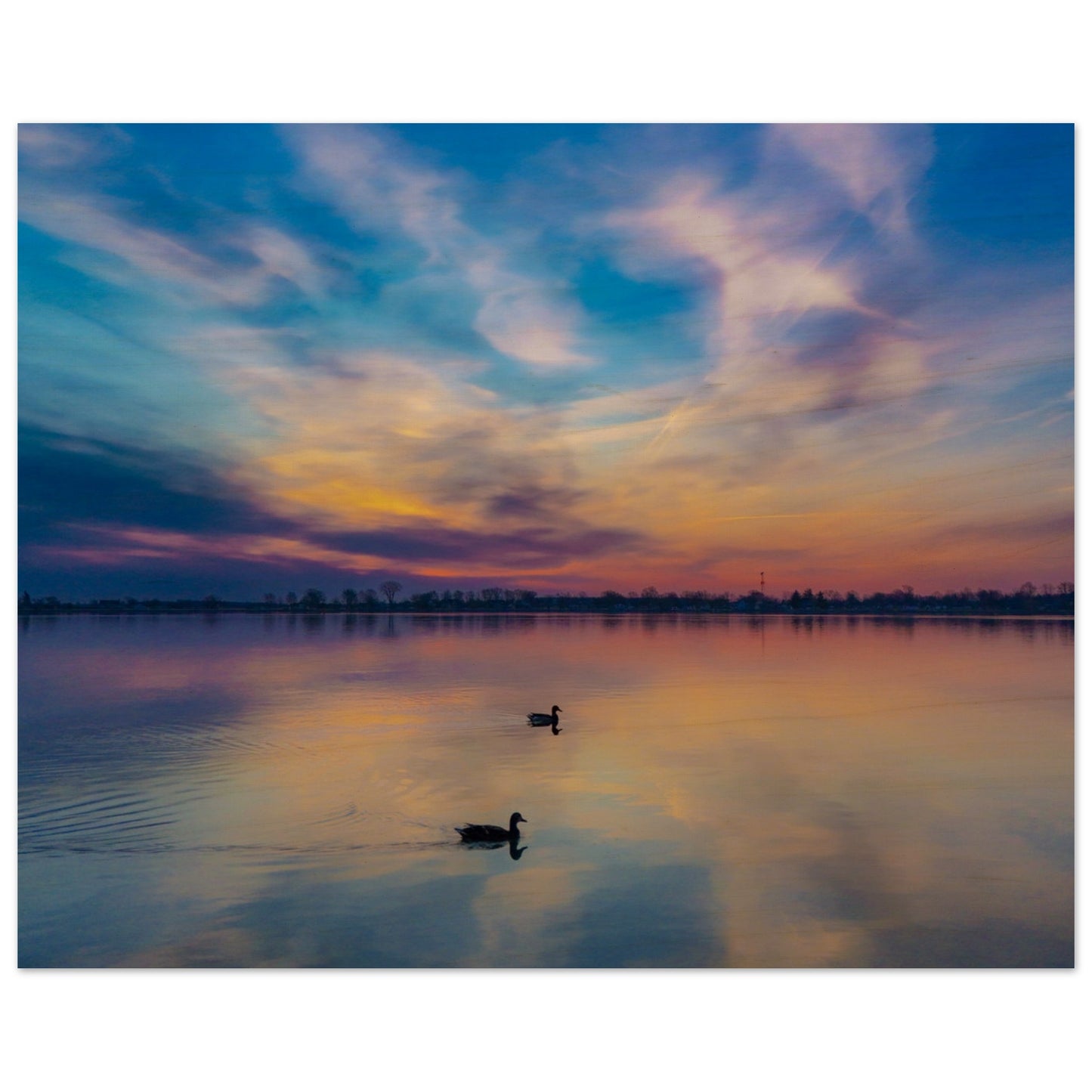 7e43a95f-6a9f-42ae-b1b2-946016166213