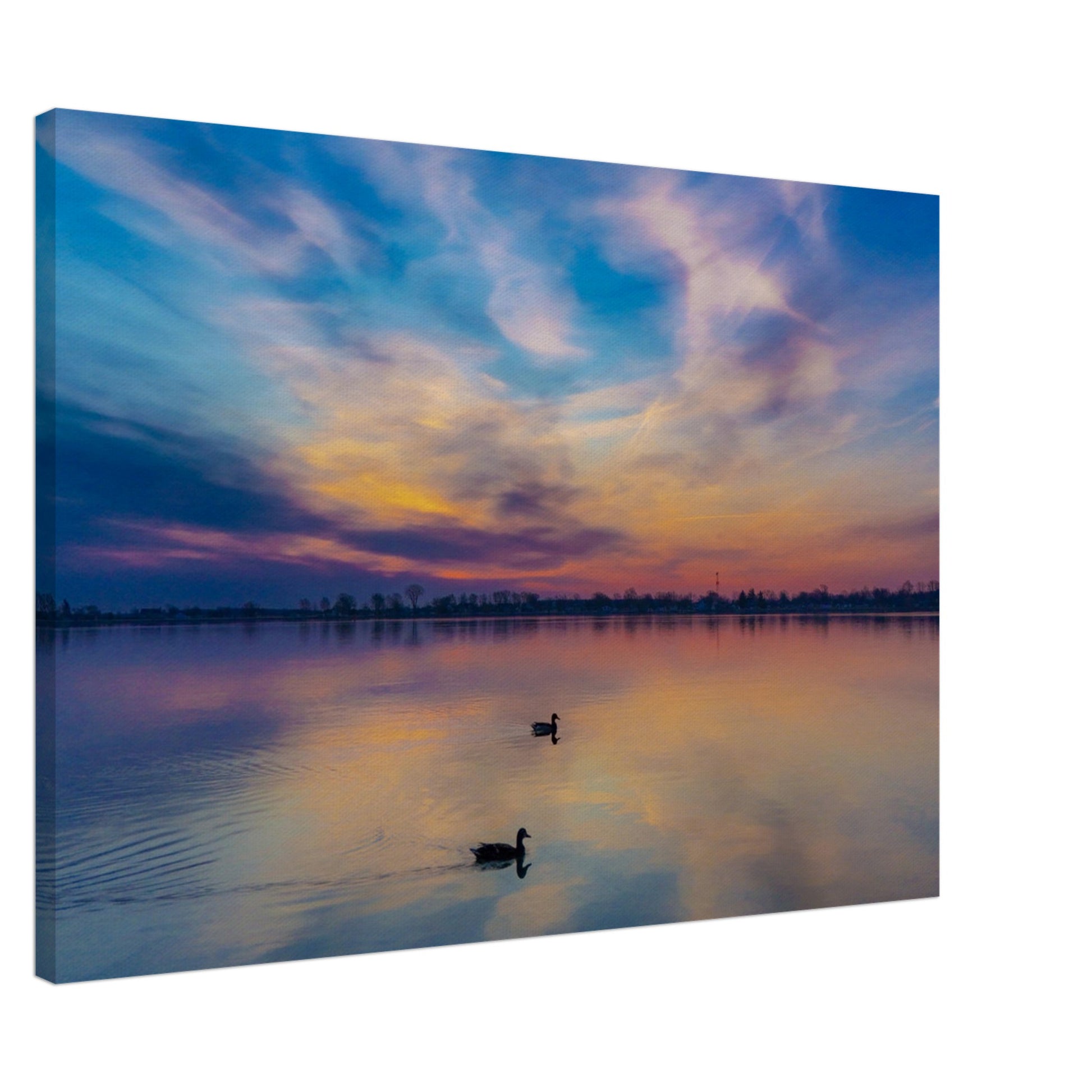 8c111e79-7d8b-4517-8da2-118d0d8b6003