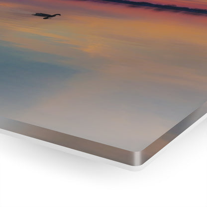 Tranquil Dawn: Mallard Ducks Grace the St. Clair River