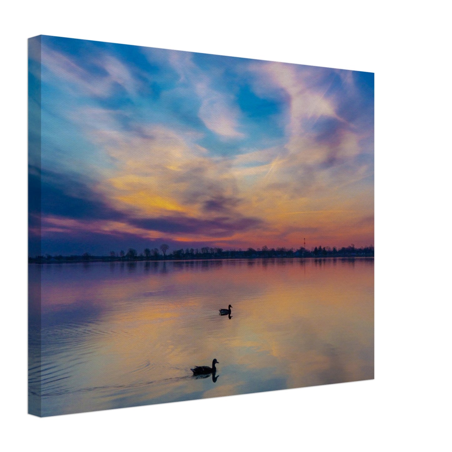 a116d324-c06c-4d47-a76a-1301c6c5b1a1