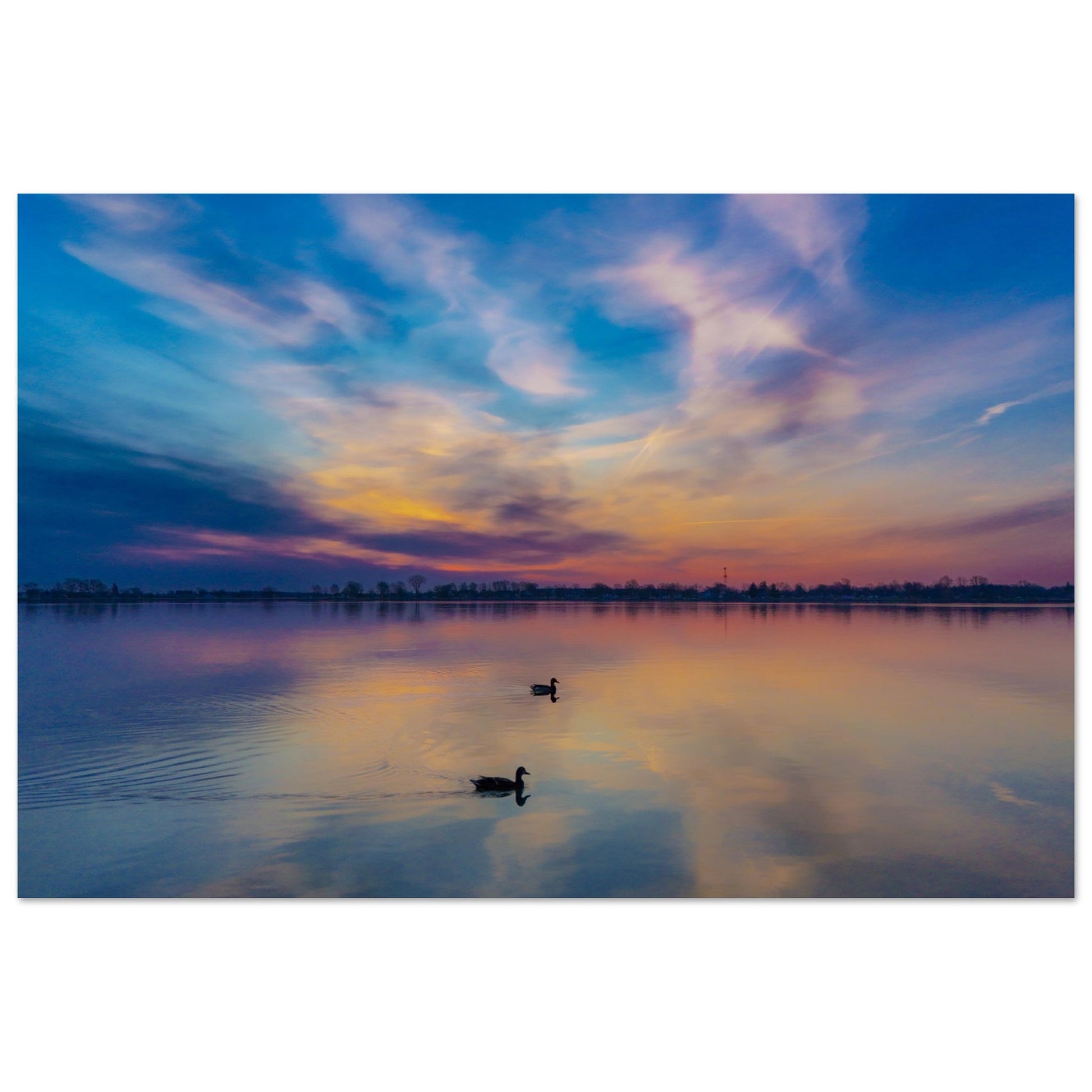 a27ba7b9-9239-4dd5-8dac-38fa39d3013a