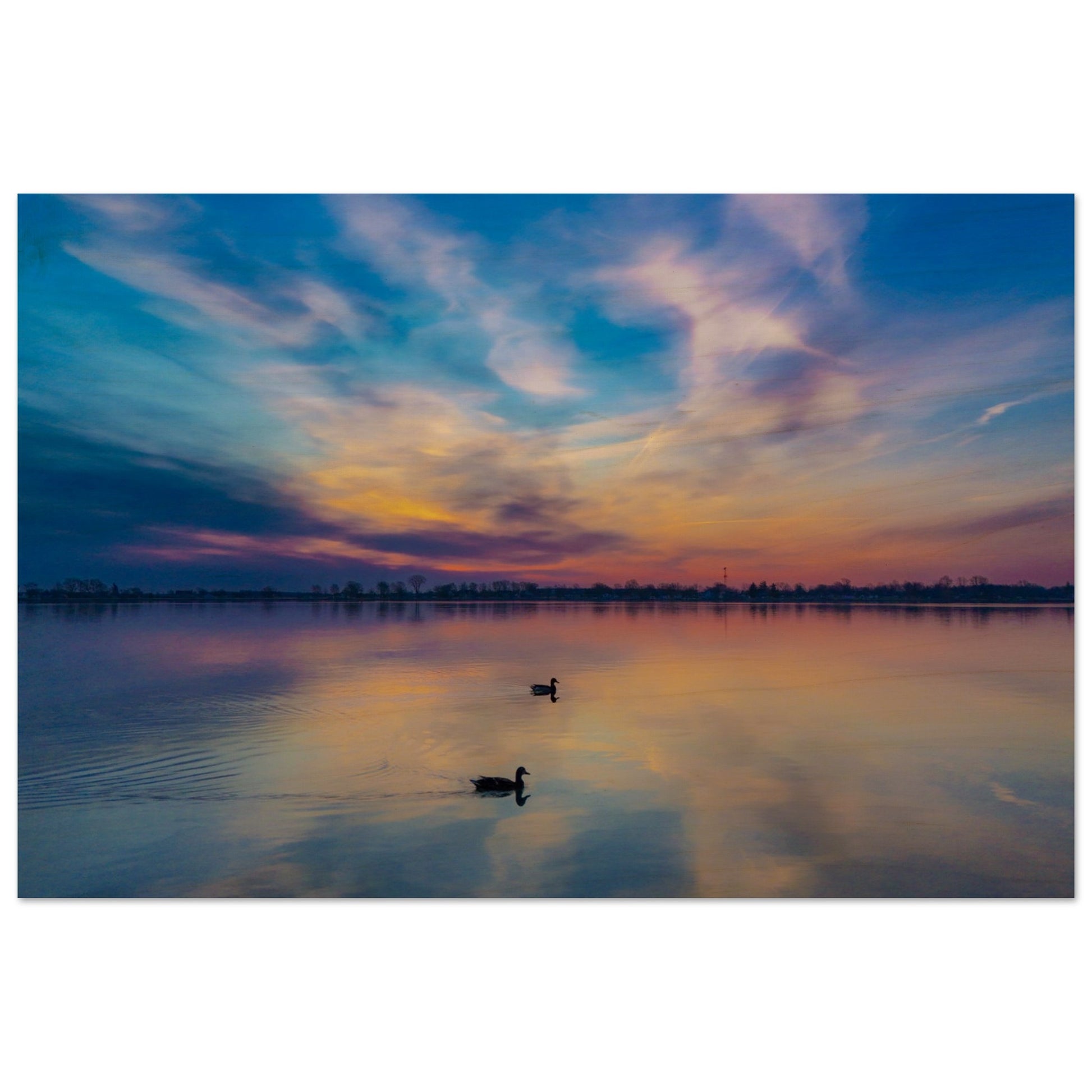 a4bd03ff-c620-434e-941a-4489b3c88932