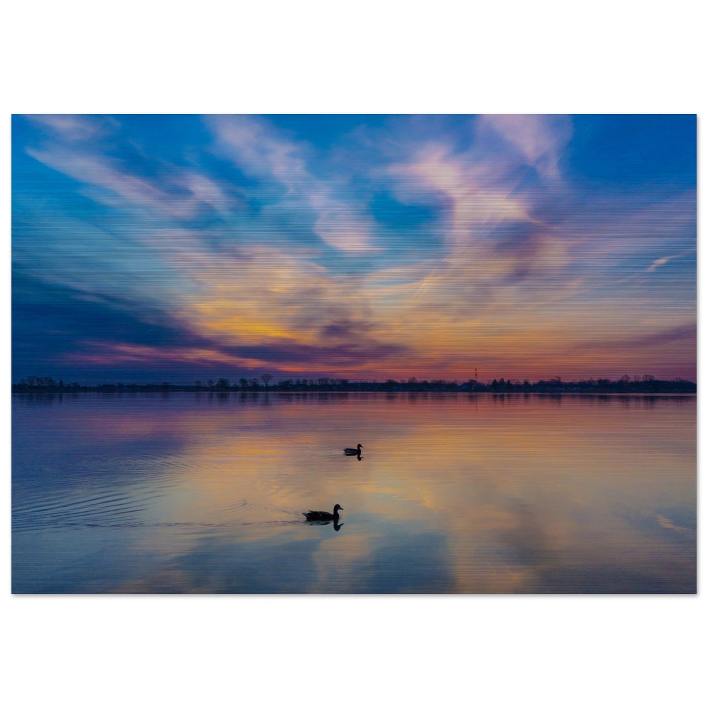 c041f4f9-93ec-492f-abd4-49d7c93f8d20