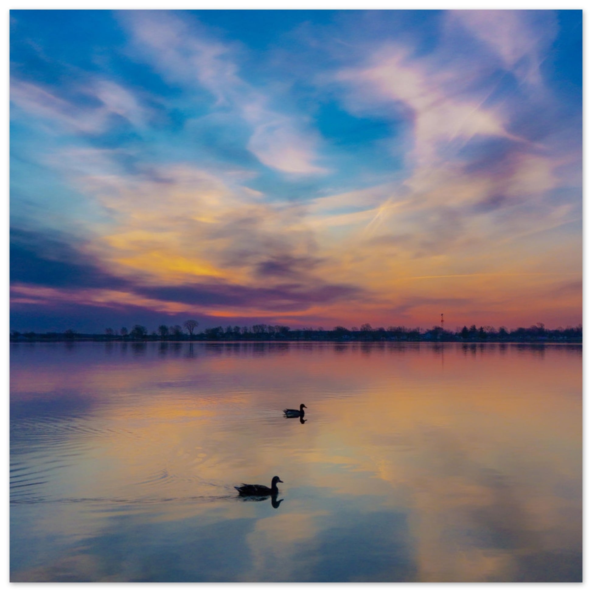 f24e70b7-72f7-4003-a081-15ff905a1ce2