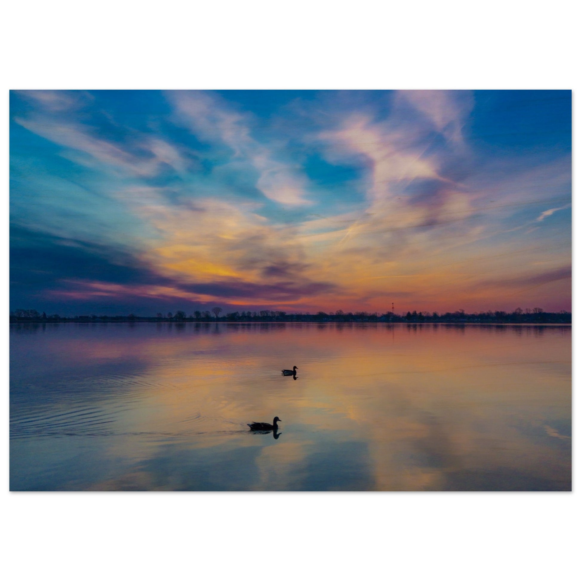 fc9494d1-ea95-4077-807c-ffd4ddf7cb01